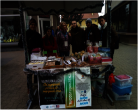 US Embassy Project -Bihac group