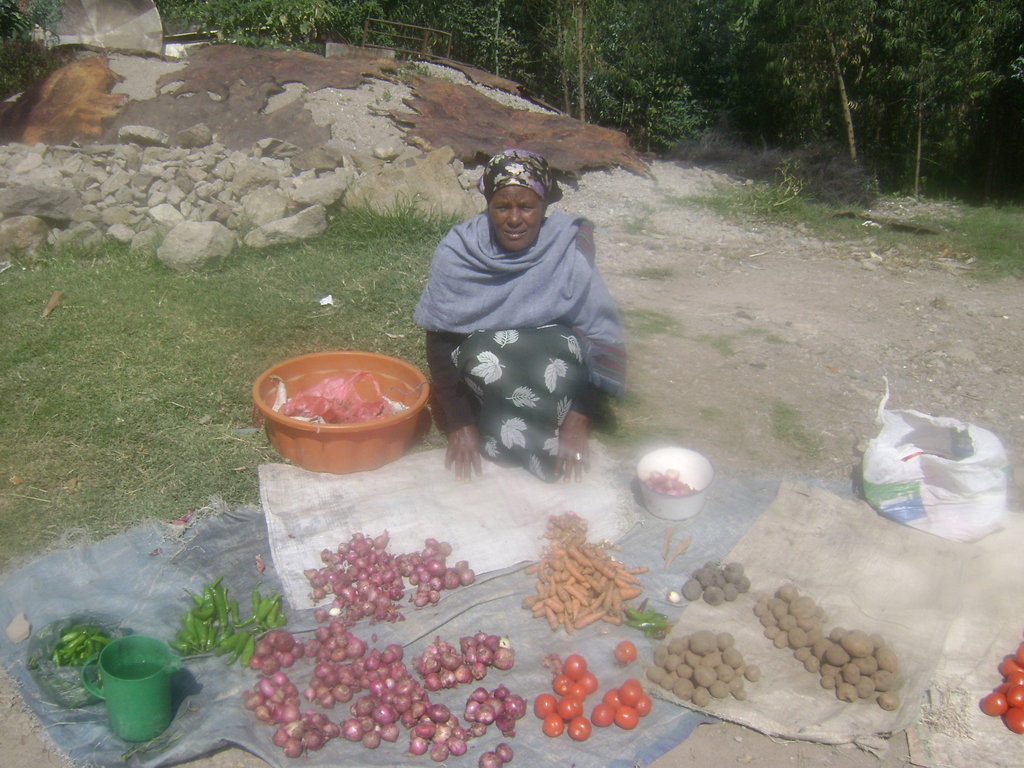 Income Generation for 5,000 Poor Ethiopian Women