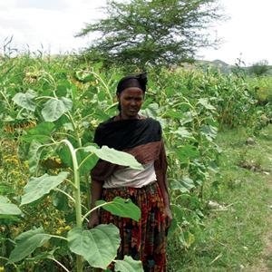 Income Generation for 5,000 Poor Ethiopian Women