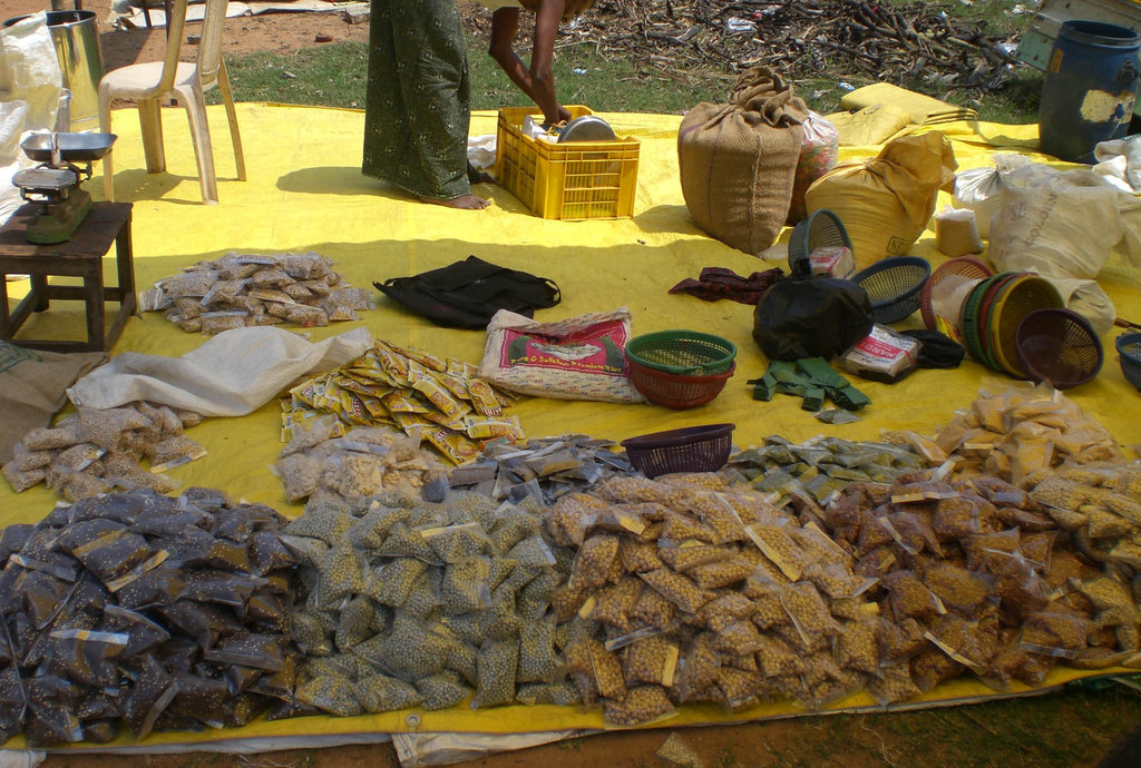 6 street masala(spice) vendor to earn income