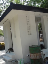 Newly painted cattery