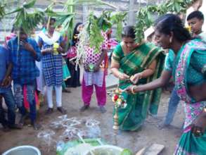 Pongal celebration