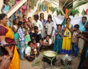 Pongal day celebrations