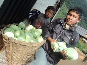 Chock Badahur Thami with cabbage crop