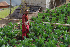 A woman in her kitchen garden