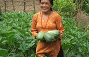Sustainable Agriculture in Nepal