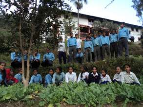Students at their school's vegetable garden