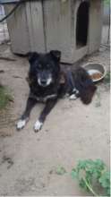 Malin at the Moreni shelter