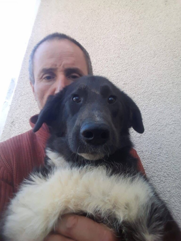 Marius and one of the 400 + animals