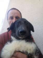 Marius and one of the 400 + animals