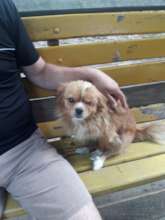 little lady found in a park