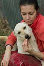 Anda Popescu with rescued dog Yuki