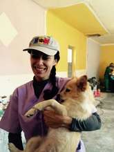Anda at Craiova spayathon