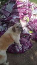Our April shipment of food