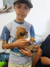 Elijah having been pulled from public shelter
