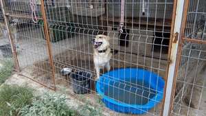 Anda's shelter