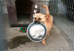 Supper time!