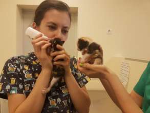 Molly and Cleo bottle fed with Anda
