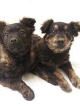 2 little ones brought to Center for help