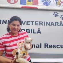 kitty brought to the mobile hospital campaign