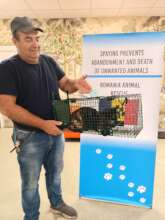 Cat spayathon at Center of Hope