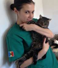 vet tech Anda Popescu