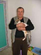 a wonderful man gets his beloved kitty spayed