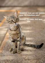 Why we do what we do