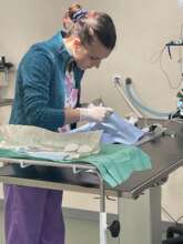 cat spay and Center of Hope hospital Bucharest