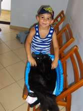 young boy and his kitties, Miroslava