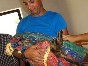 a great man brings his cat into Miroslava campaign