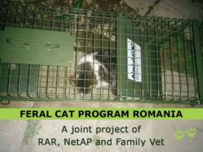 cooperation for TNR with NetAp and Family Vet