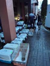 Spay Shuttle at work