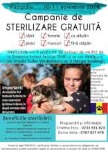 ad campaign for a new spay project