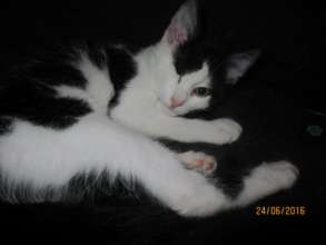 BunBun after vet care