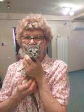 This little kitten had an abscessed eye.