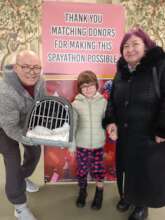 Cat spayathon at Center of Hope