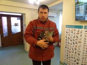 Craiova cat spay