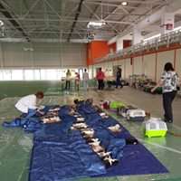 cat spay recovery in the city of Giurgiu