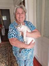 spayed kitty goes home