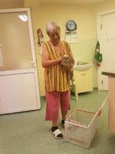 cat spays Center of Hope