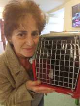 spayed cat at Family Vet