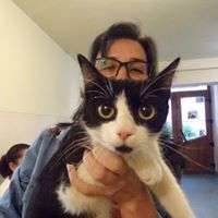 Family Vet Craiova spays