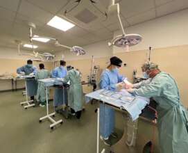 Cats being spayed or neutered