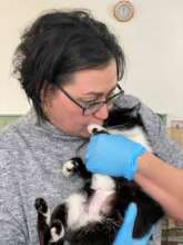 loving her recently spayed kitty