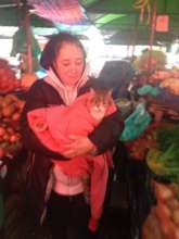 the kitty from Craiova market is spayed #nokittens