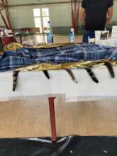cats recovery at Dragalina mobile spayathon Romani