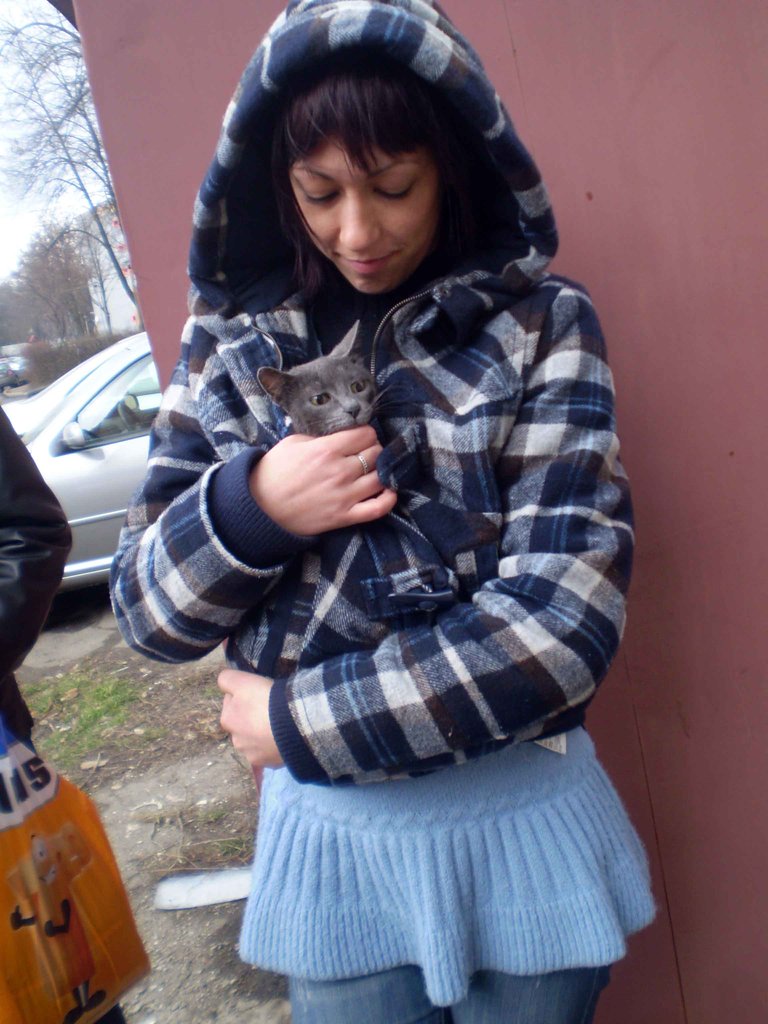 Spay and Neuter for 2000 Cats in Romania