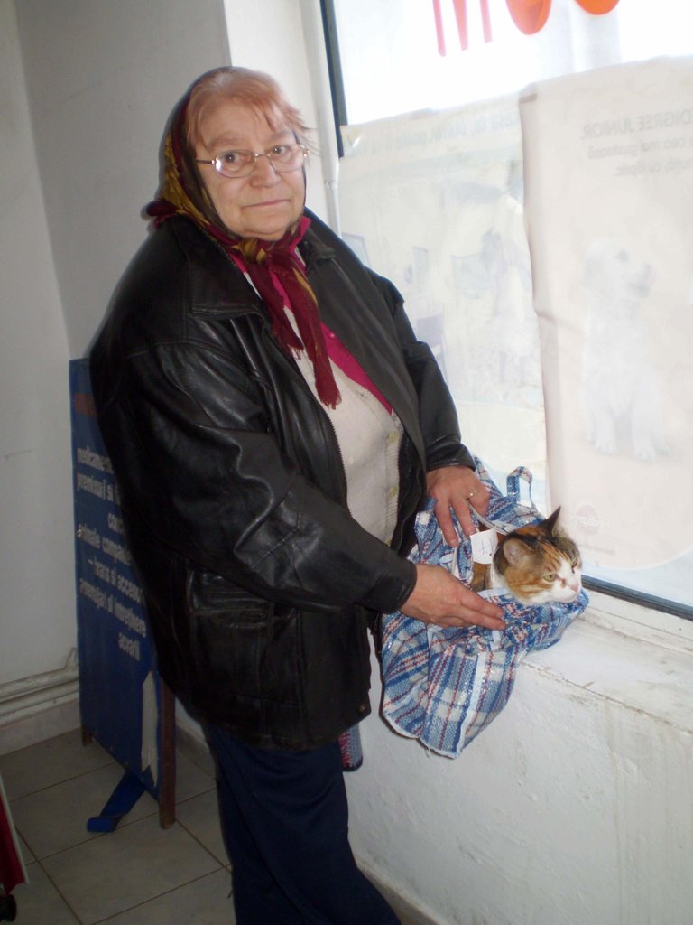 Spay and Neuter for 2000 Cats in Romania