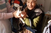 Spay and Neuter for 2000 Cats in Romania